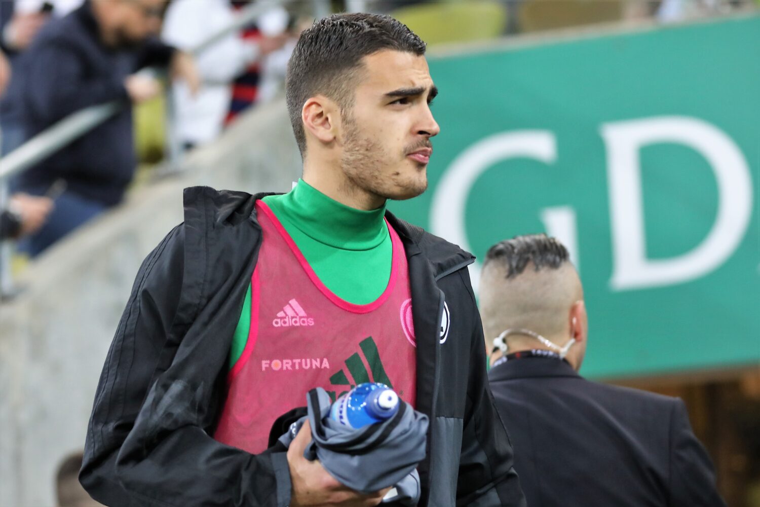 Sandro Kulenović